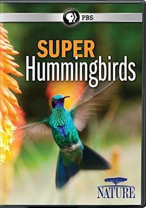 Cover for Nature: Super Hummingbirds (DVD) (2016)