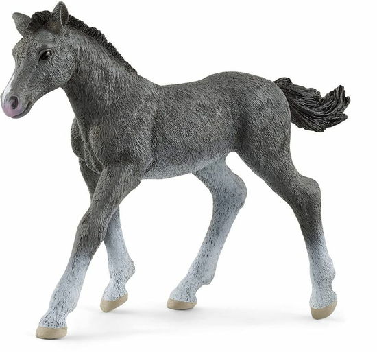 Cover for Schleich · Trakehner veulen Schleich (13944) (Brinquedos)