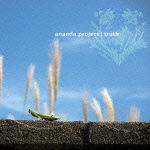 Cover for Ananda Project · Truth (CD) [Japan Import edition] (2009)