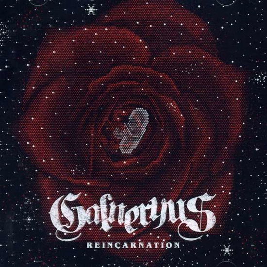 Reincarnation - Galneryus - Music - VAP INC. - 4988021816106 - September 10, 2008