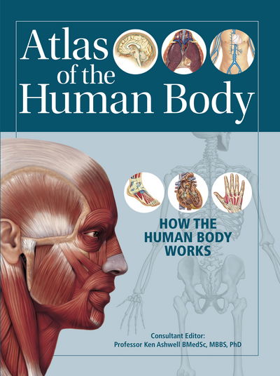 Atlas of the Human Body - Ken Ashwell - Books - New Burlington Books - 9780857625106 - February 2, 2017