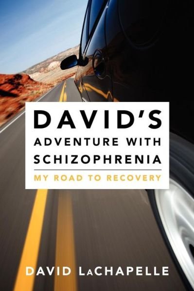 David's Adventure with Schizophrenia: My Road to Recovery - David Lachapelle - Bøger - CreateSpace Independent Publishing Platf - 9781470124106 - 21. juni 2012