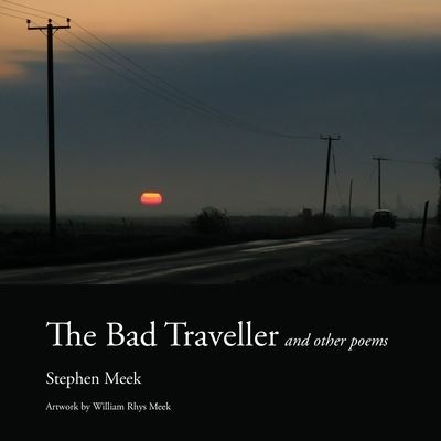 Cover for Stephen Meek · Bad Traveller (Bog) (2011)