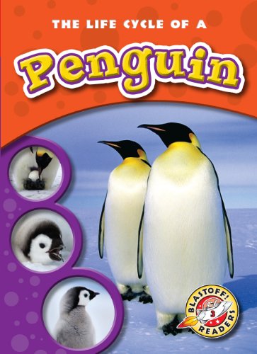 Cover for Colleen Sexton · The Life Cycle of a Penguin (Blastoff! Readers: Life Cycles) (Blastoff! Readers: Life Cycle of A... Level 3) (Hardcover Book) (2010)