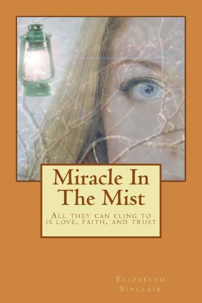 Cover for Elizabeth Sinclair · Miracle in the Mist (Paperback Book) (2013)