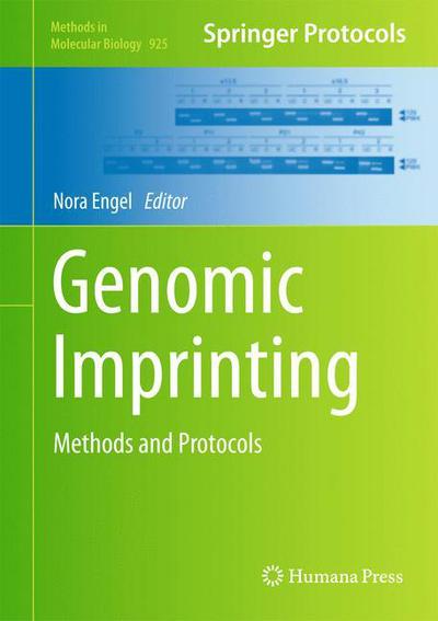 Cover for Nora Engel · Genomic Imprinting: Methods and Protocols - Methods in Molecular Biology (Hardcover Book) [2012 edition] (2012)