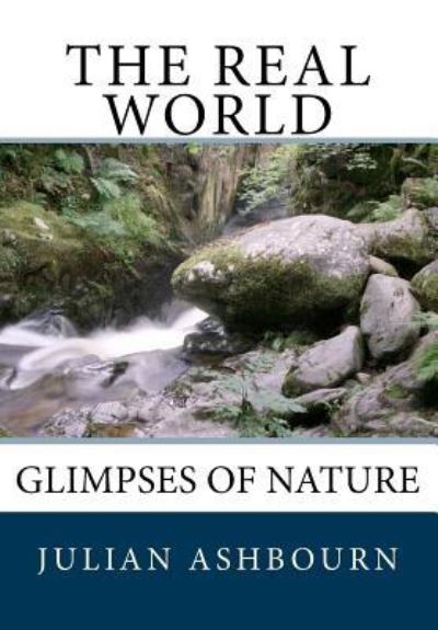 The Real World - Julian Ashbourn - Livros - Createspace Independent Publishing Platf - 9781722083106 - 29 de junho de 2018