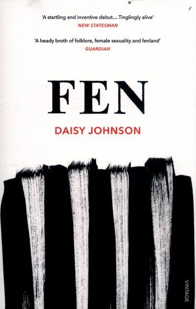 Cover for Daisy Johnson · Fen (Taschenbuch) (2017)