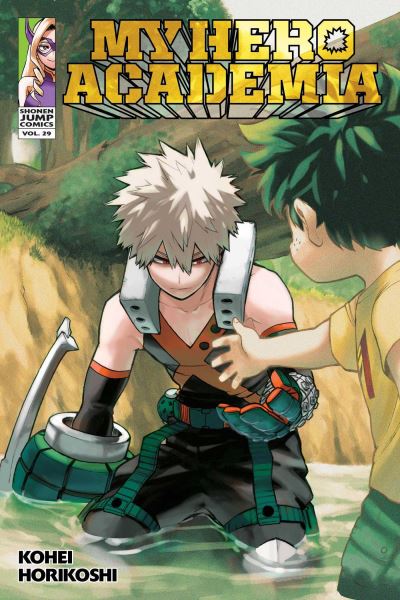 Cover for Kohei Horikoshi · My Hero Academia Vol 29 (Buch) (2021)