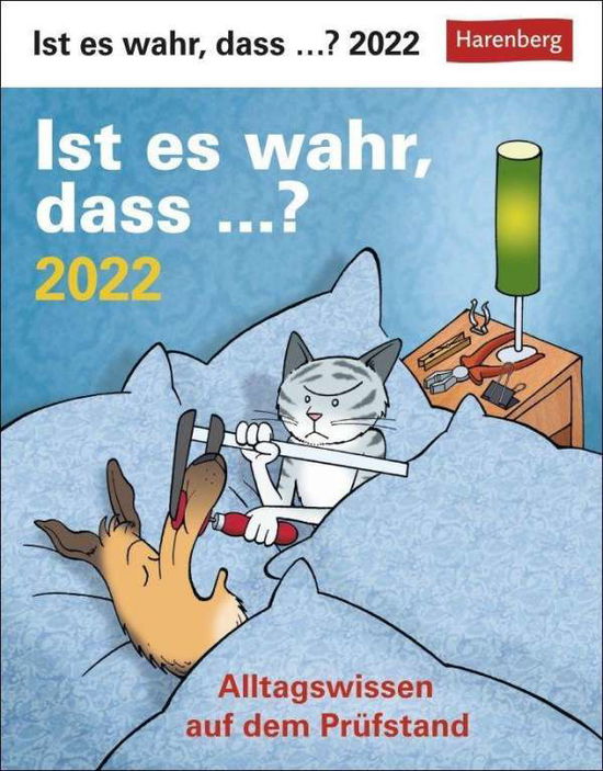 Cover for Stein · Ist es wahr, dass ...? Kalender 2 (N/A)