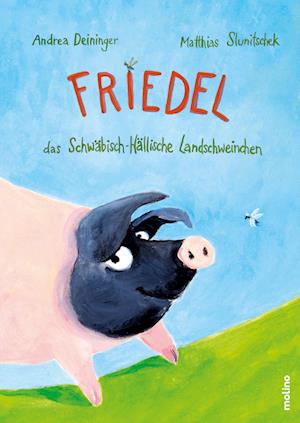 Cover for Matthias Slunitschek · Friedel, das Schwäbisch-Hällische Landschweinchen (Book) (2022)