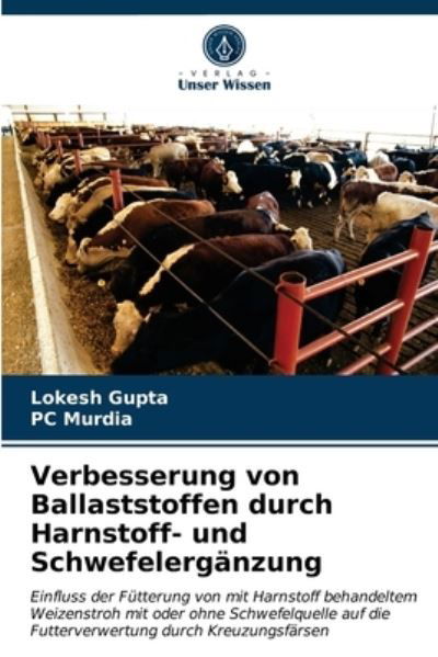 Cover for Gupta · Verbesserung von Ballaststoffen d (N/A) (2021)