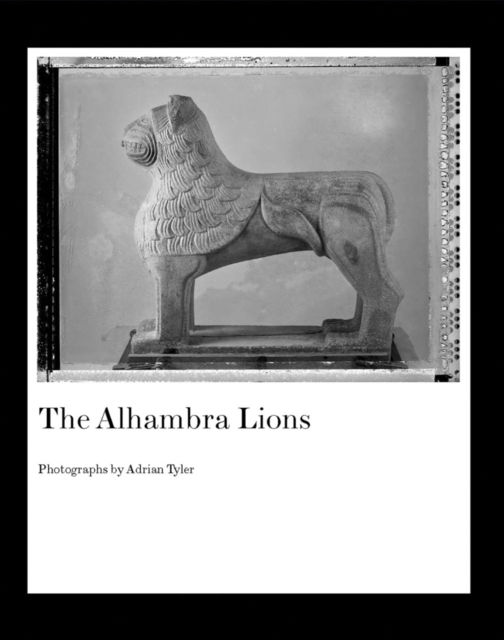 Cover for The Alhambra Lions (Hardcover Book) (2025)