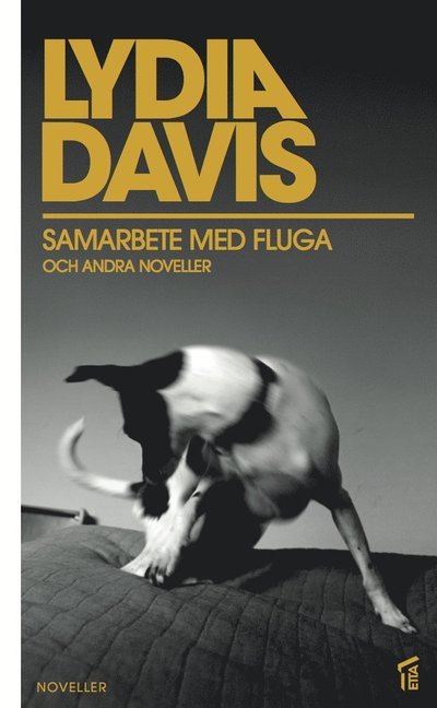 Cover for Lydia Davis · Samarbete med fluga och andra noveller (Paperback Book) (2014)