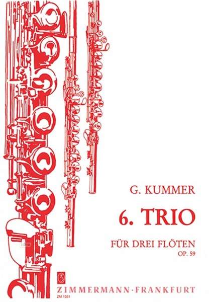 Cover for Kummer · 6.Trio (Book)