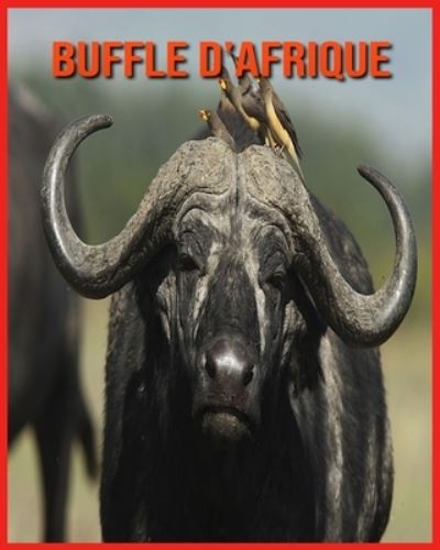 Cover for Annie Nichols · Buffle d'Afrique (Paperback Book) (2021)