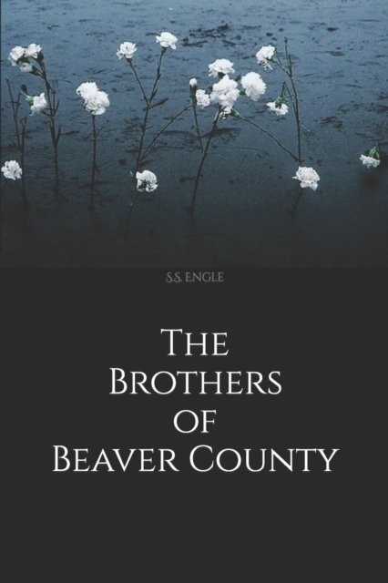 Cover for S S Engle · The Brothers of Beaver County (Paperback Book) (2022)