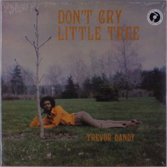 Cover for Trevor Dandy · Don't Cry Little Tree (LP) (2016)