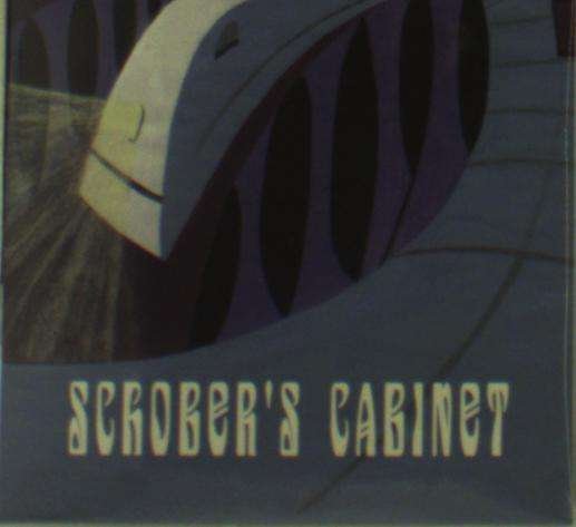 Cover for Schober's Cabinet · It Is N The Wrong Envelope (CD) (2012)