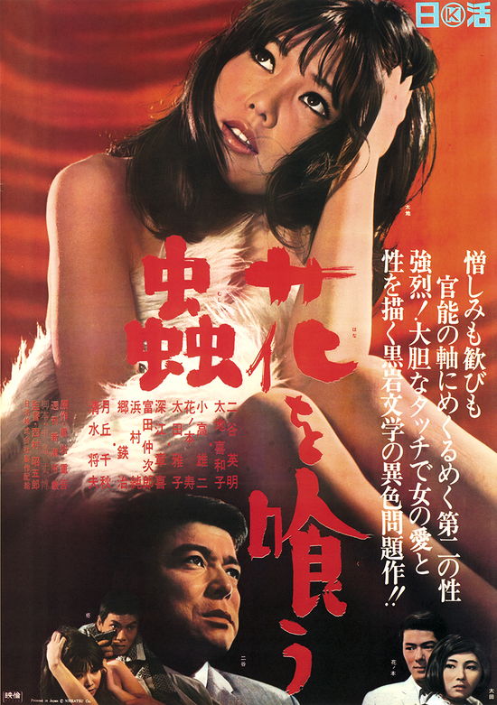 Hana Wo Kuu Mushi - Nitani Hideaki - Music - NIKKATSU CORPORATION - 4907953267107 - July 5, 2023