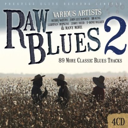 Cover for Various Artists · Raw Blues Vol. 2 (CD) (2013)