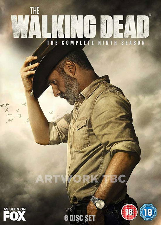 Cover for Walking Dead the S9 DVD · The Walking Dead Season 9 (DVD) (2019)