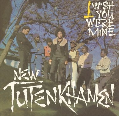 Cover for New Tutankhamen · I Wish You Were Mine (LP) [180 gram edition] (2019)