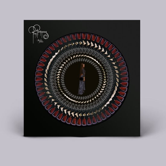 Pinkpantheress · Heaven Knows (LP) [Limited Zoetrope Picture Disc edition] (2023)