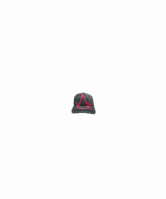 Cover for Good Loot · Assassin's Creed Legacy Baseball Cap (MERCH)