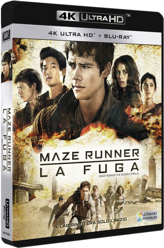 Maze runner - La fuga - Maze Runner - Filmy -  - 8010312120107 - 