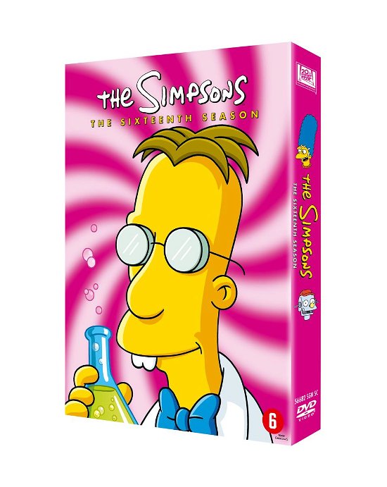 Cover for Simpsons The · Season 16 (DVD) (2013)