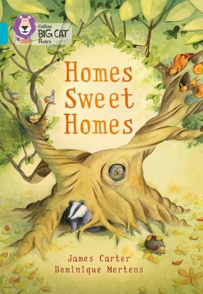Cover for James Carter · Homes Sweet Homes: Band 07/Turquoise - Collins Big Cat (Paperback Bog) (2015)