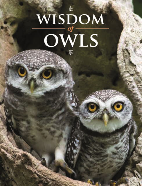 Cover for Wisdom of Owls (Hardcover Book) (2024)