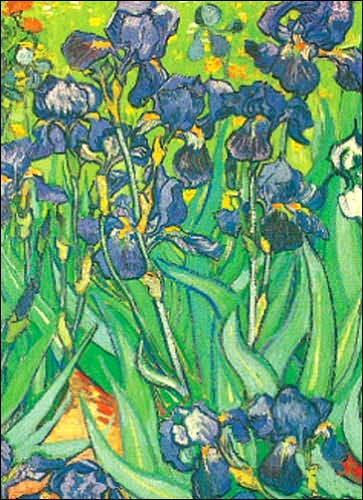 Cover for Vincent Van Gogh · Van Gogh Notebook (MERCH) (2003)