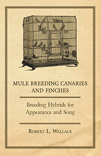 Cover for Robert L. Wallace · Mule Breeding Canaries and Finches - Breeding Hybrids for Appearance and Song (Paperback Book) (2011)