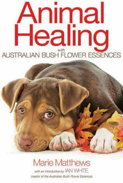 Cover for Matthews, Marie (Marie Matthews) · Animal Healing with Australian Bush Flower Essences (Paperback Book) (2013)