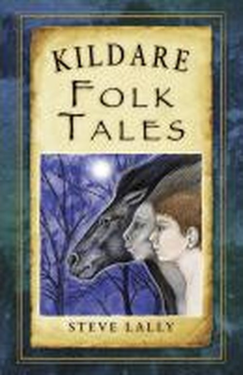 Cover for Steve Lally · Kildare Folk Tales (Paperback Book) (2014)