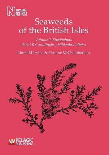 Cover for Yvonne M. Chamberlain · Seaweeds of the British Isles Volume 1 Rhodophyta Part 2b Corallinales, Hildenbrandiales (Seaweeds of the British Isles: Rhodophyta) (Paperback Book) (2011)