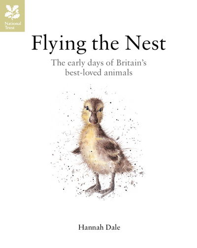 Flying the Nest - Flying the Nest - Books - Pavilion Books - 9781911358107 - June 1, 2016