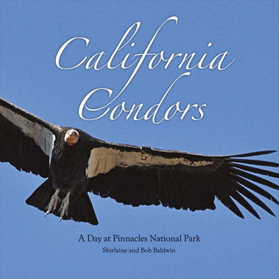 Cover for Shirlaine Baldwin · California Condors (Hardcover Book) (2016)