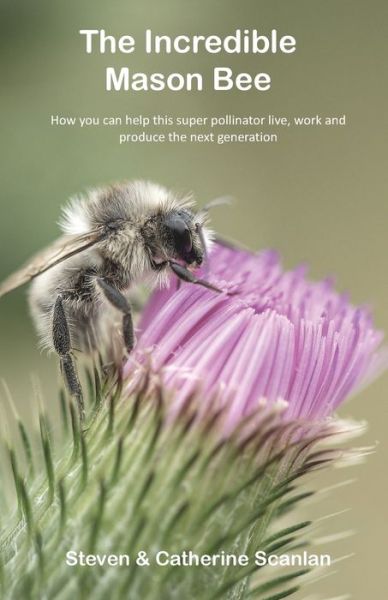 The Incredible Mason Bee - Steven Scanlan - Books - ISLAND BOOKS - 9781989681107 - March 21, 2021