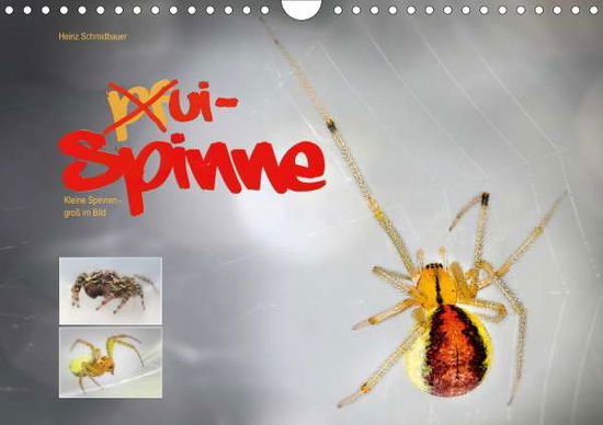 Cover for Schmidbauer · Ui - Spinne. Kleine Spinnen (Bok)