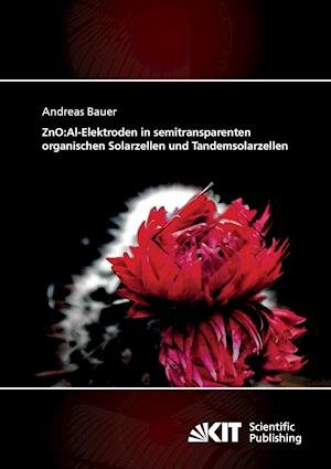 Cover for Bauer · ZnO:Al-Elektroden in semitranspar (Bog) (2014)