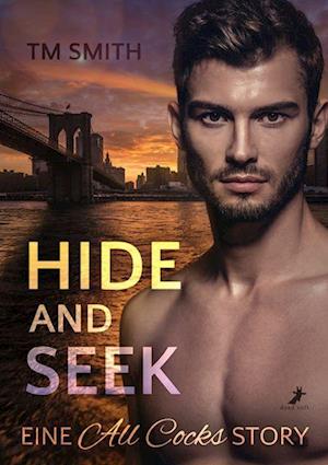 Cover for TM Smith · Hide and Seek (Book) (2022)