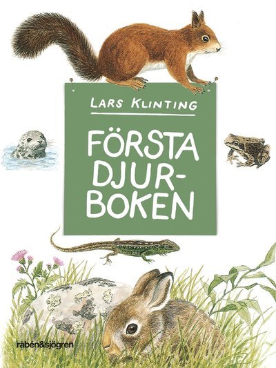 Cover for Lars Klinting · Första djurboken : däggdjur groddjur kräldjur (Bound Book) (2016)