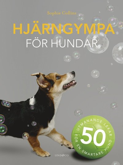 Cover for Sophie Collins · Hjärngympa för hundar (Map) (2020)