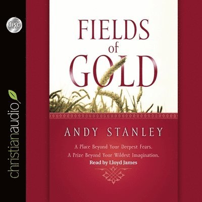 Fields of Gold - Andy Stanley - Muzyka - Christianaudio - 9798200489107 - 1 maja 2012