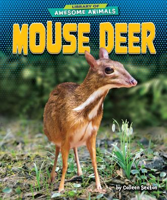 Cover for Colleen Sexton · Mouse Deer (Hardcover Book) (2022)