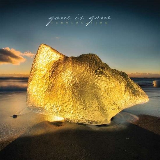 Gone is Gone · Echolocation (LP) (2017)
