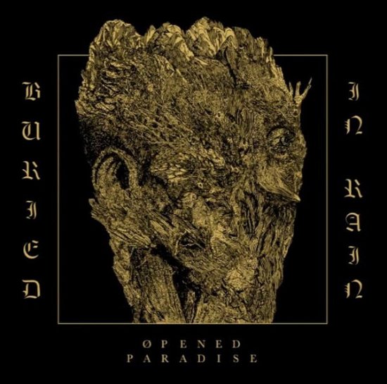 Cover for Opened Paradise · Buried In Rain (LP) (2017)